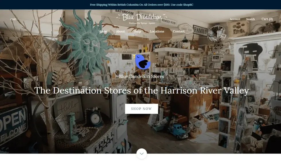 Blue Dandelion Stores website portfolio screenshot