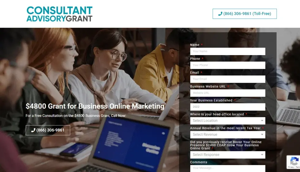 Consultant Advisory Grant website portfolio screenshot
