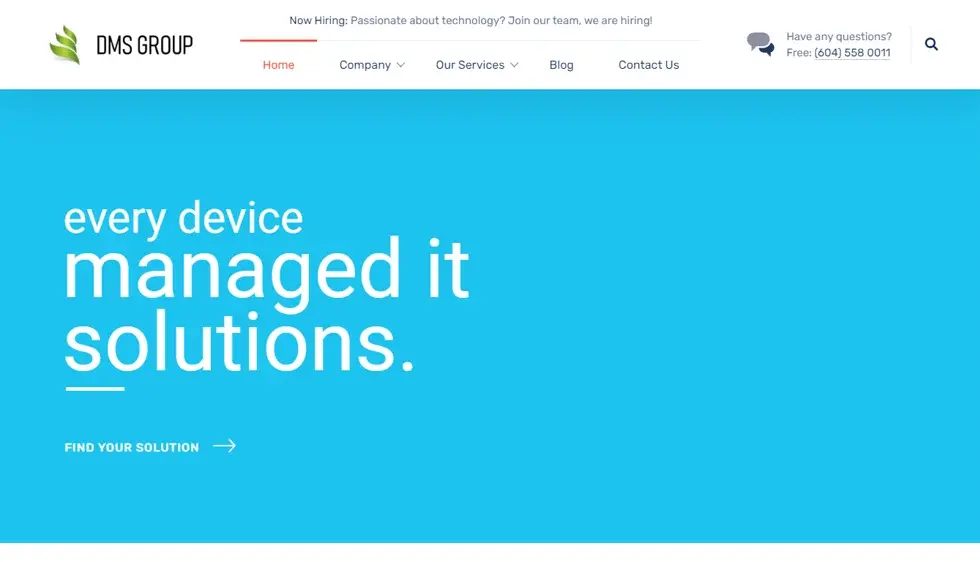 DMS Group website portfolio screenshot