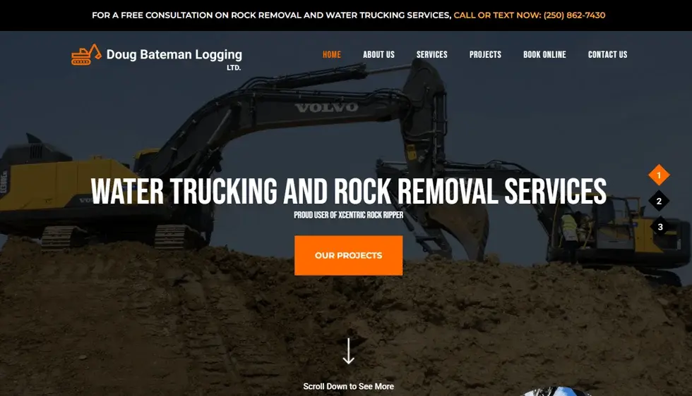 Doug Bateman website portfolio screenshot