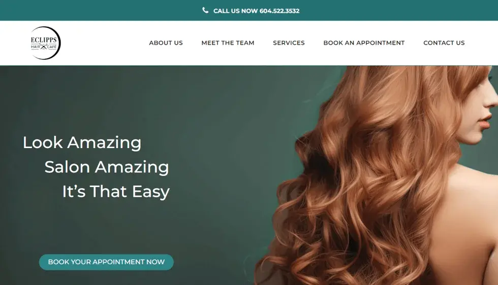 Eclipps website portfolio screenshot