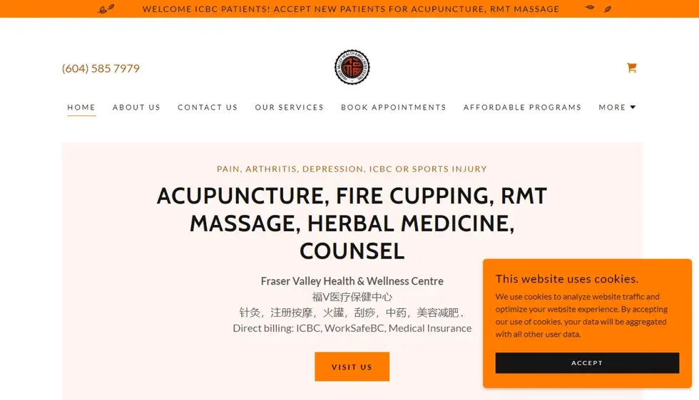 FV Health website portfolio screenshot