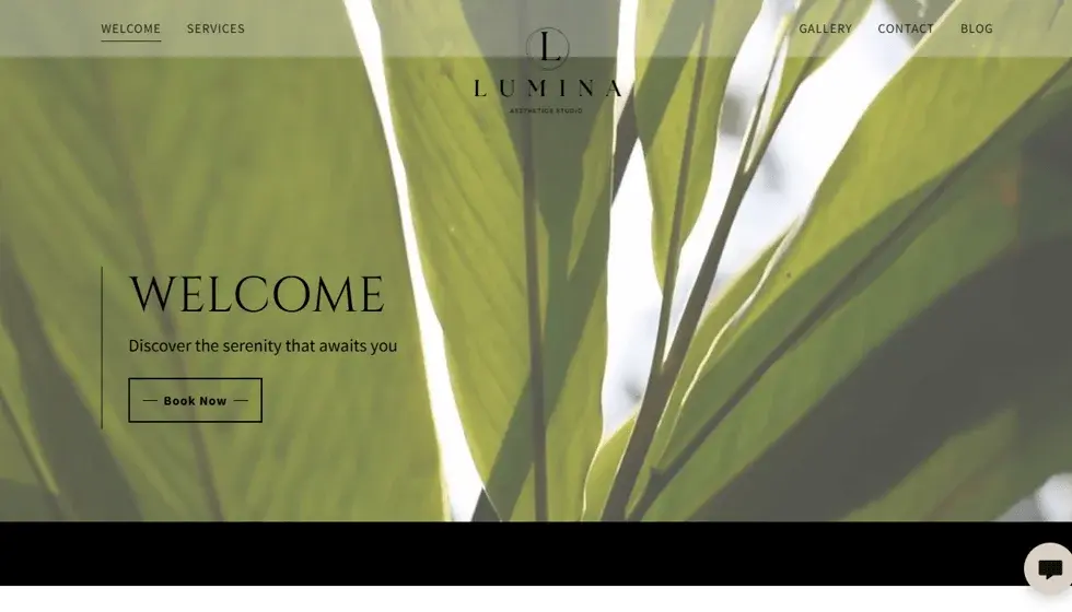 Lumina Aesthetics Studio website portfolio screenshot