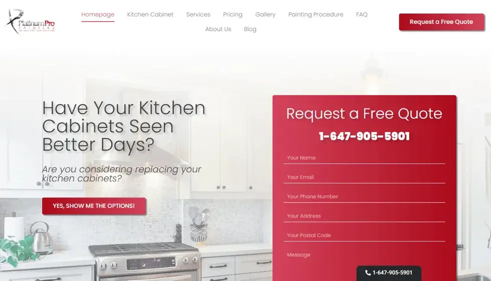 Platinum Pro Painters website portfolio screenshot