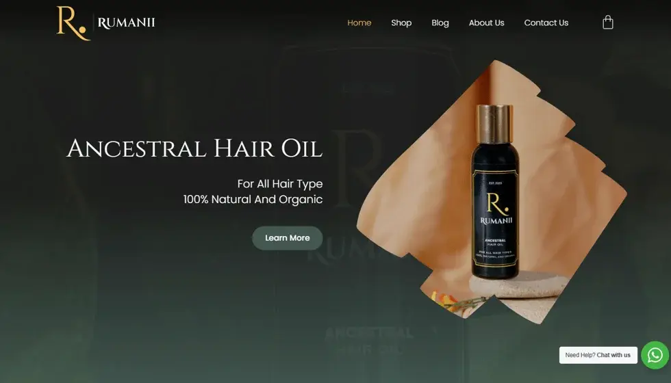 Rumanii website portfolio screenshot